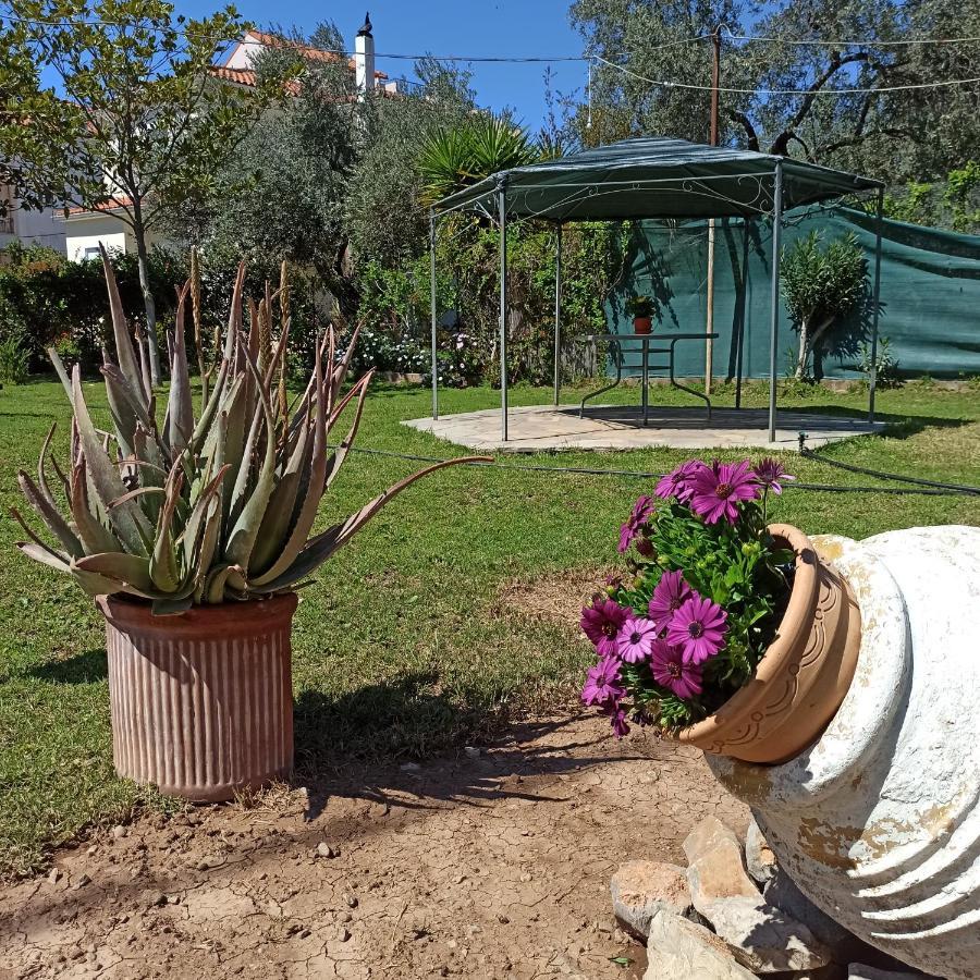 Itea'S Garden House Villa Kirra Dış mekan fotoğraf